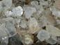 Preview: Bergkristall Edelstein-Anhänger, roh belassen, Silberöse, Einzelstück